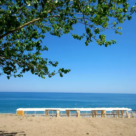 Garden Bergamot リゾート ケメル