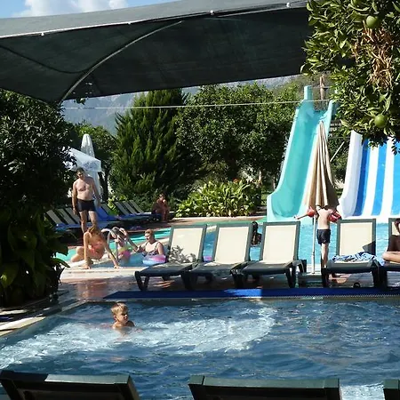 リゾート Garden Bergamot