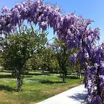 Garden Bergamot 4* Kemer