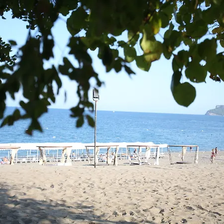 Rezort Garden Bergamot