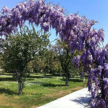Garden Bergamot 4* Kemer