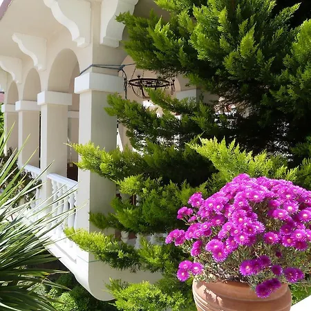 Rezort Garden Bergamot