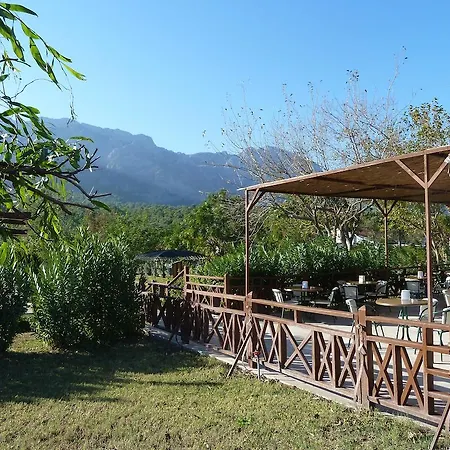 Rezort Garden Bergamot