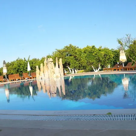 Garden Bergamot Rezort