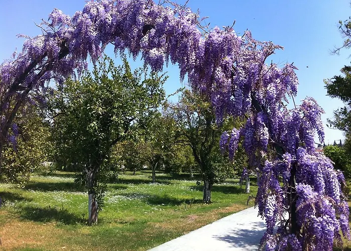 Garden Bergamot 4* Kemer